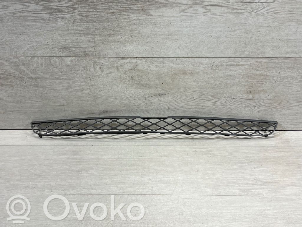 BMW X5 E70 Front bumper lower grill 