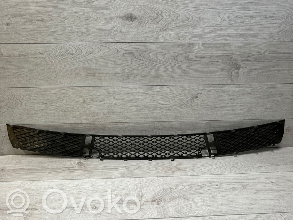 BMW X3 E83 Front bumper lower grill 