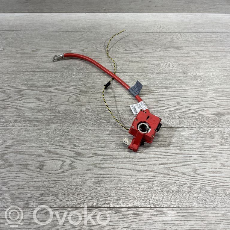 BMW X1 E84 Positive cable (battery) 