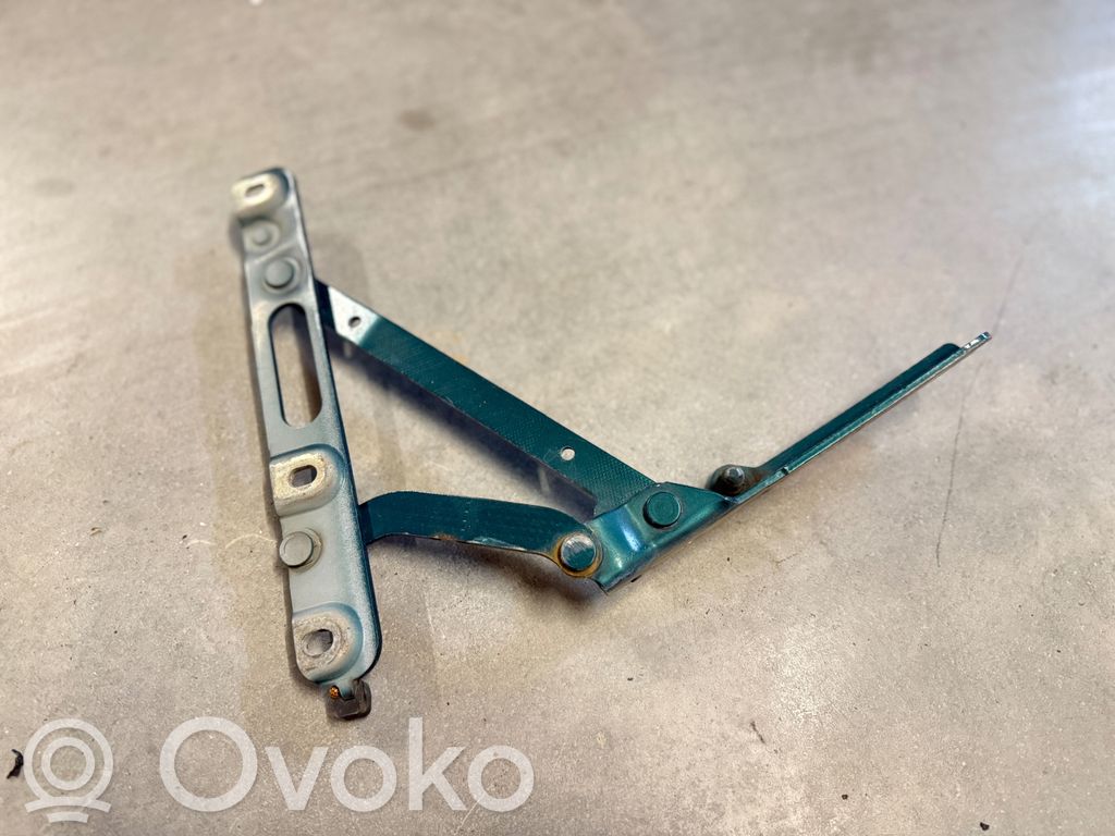 Tailgate/trunk/boot hinge
