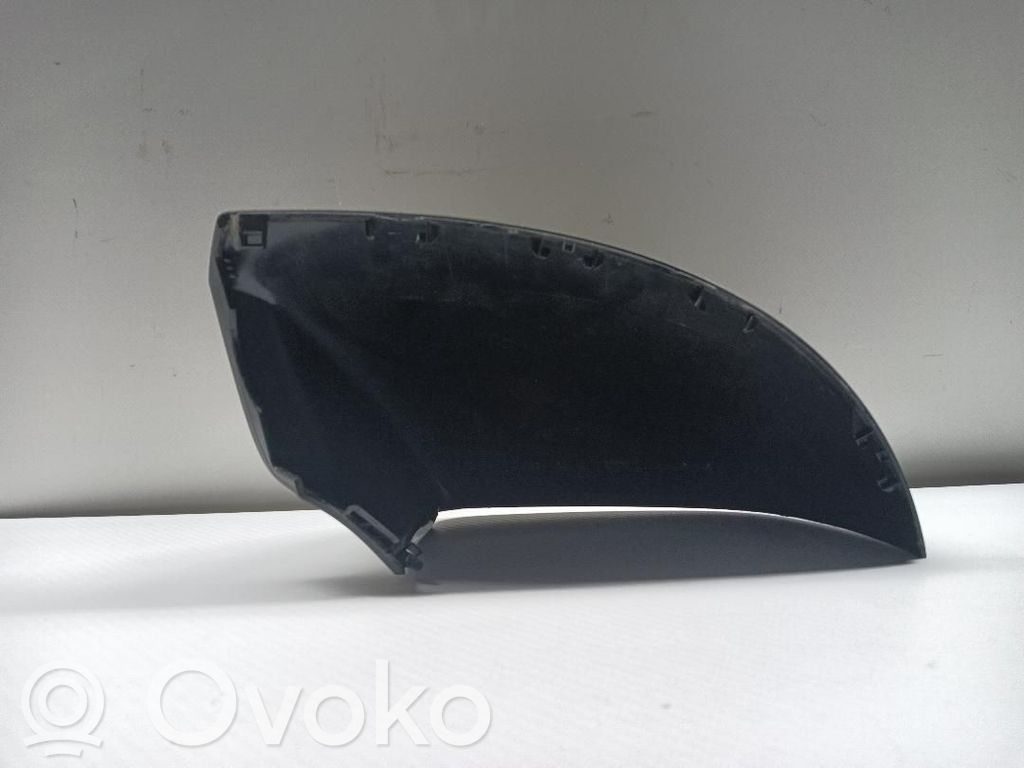 Volkswagen Multivan T5 Obudowa lusterka zewnętrznego drzwi 