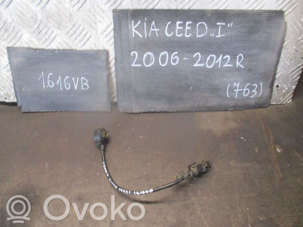 Detonacinis daviklis   28000