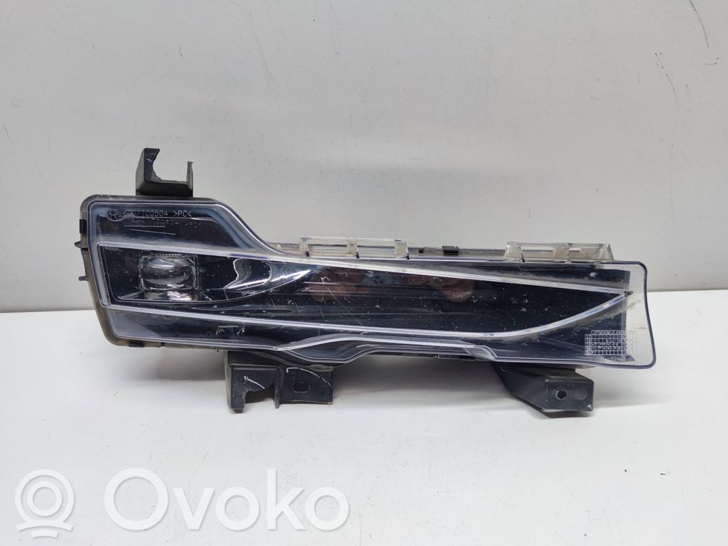 Tesla Model 3 Front fog light 