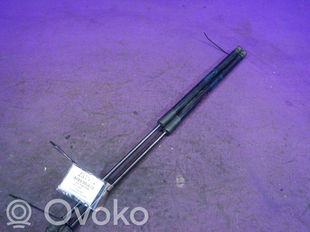 Opel Adam Tailgate strut 