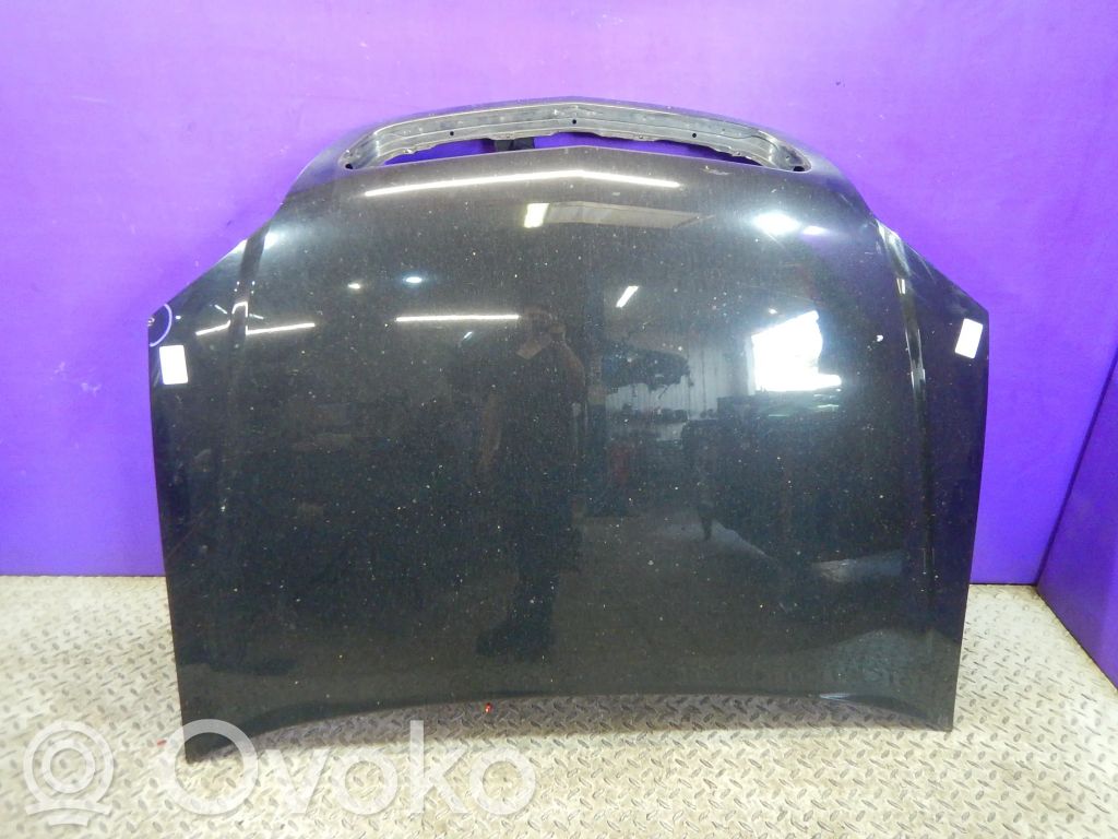 Vano motore/cofano