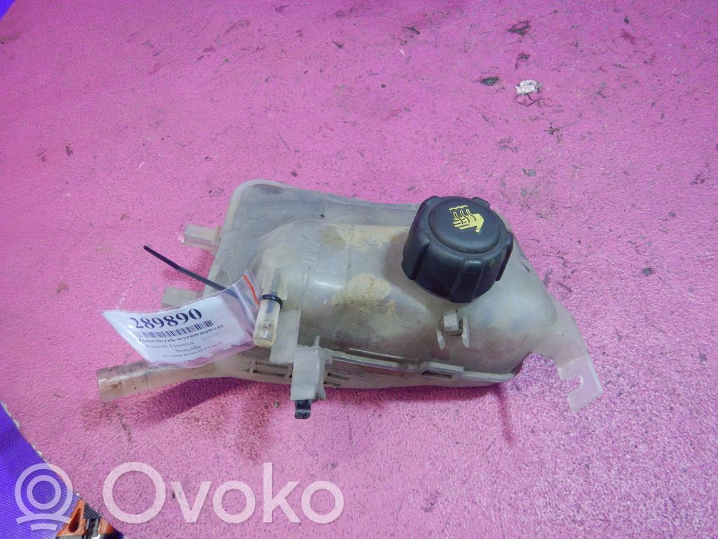 Renault Fluence Serbatoio di compensazione del liquido refrigerante/vaschetta