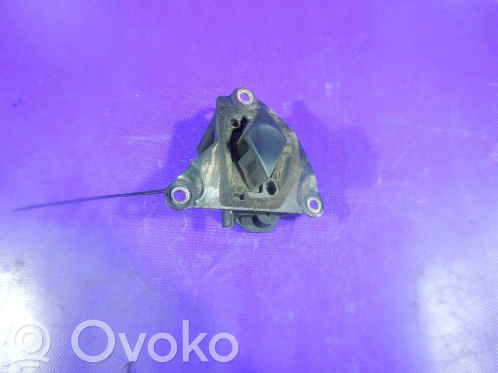 Renault Clio II Manufacturer badge logo/emblem 