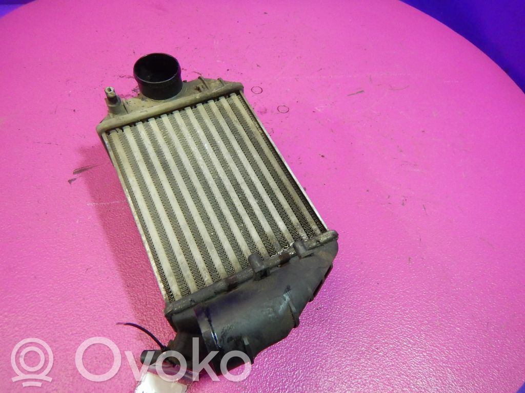 Volkswagen PASSAT B5.5 Interkūlerio radiatorius 
