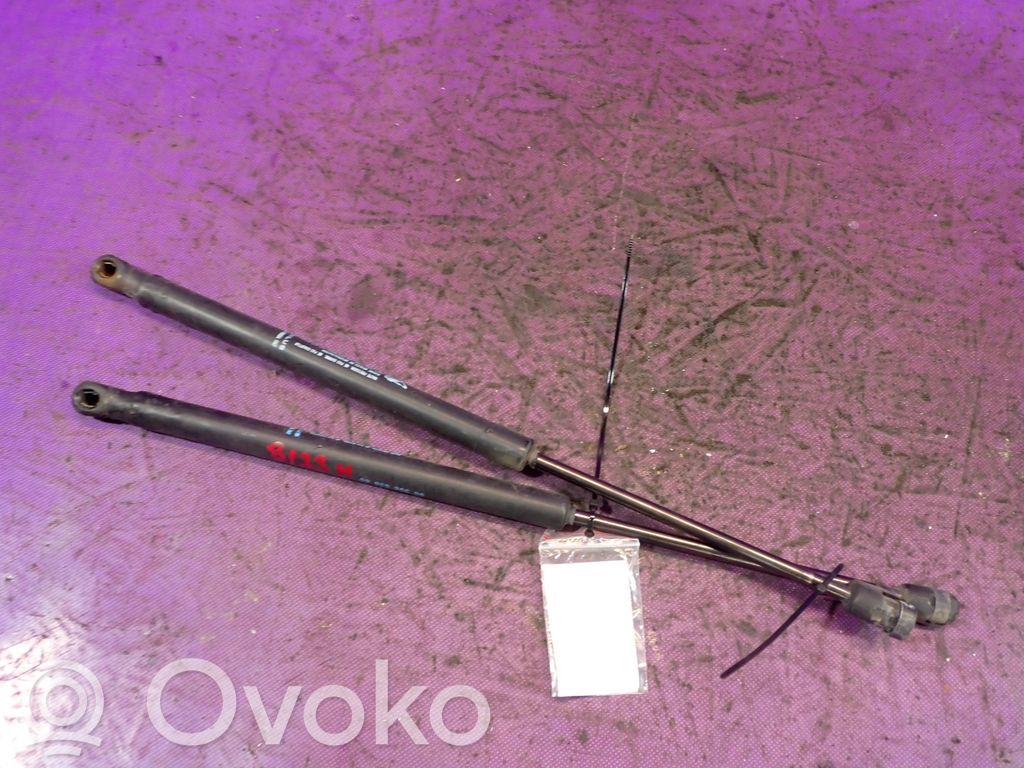Citroen C3 Jambe de force de hayon 