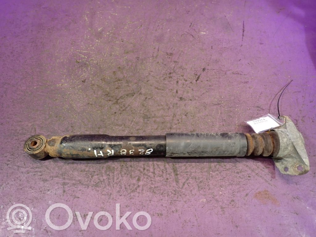 Stoßdämpfer hinten