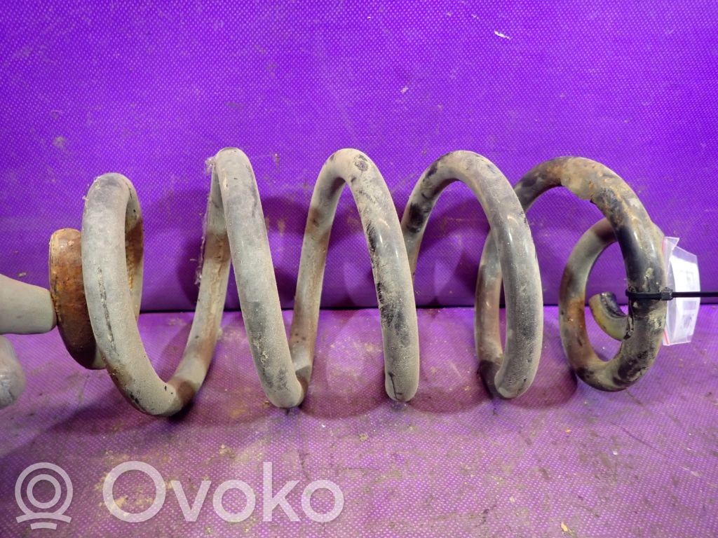 Muelle espiral trasero