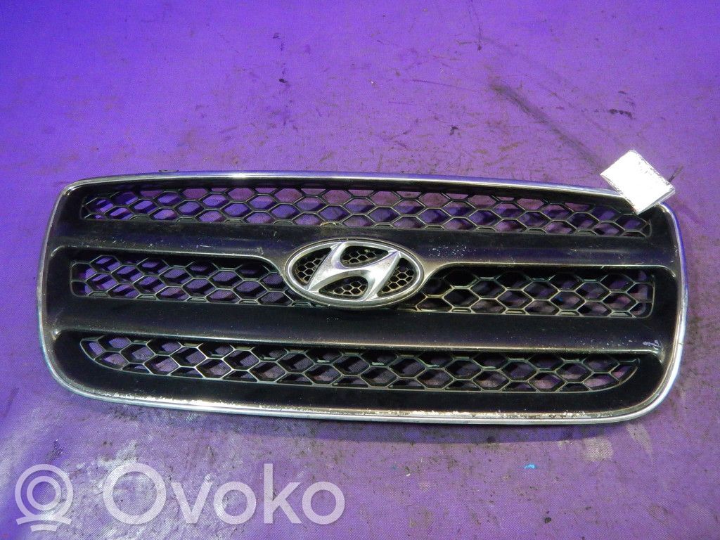Hyundai Santa Fe Etusäleikkö 