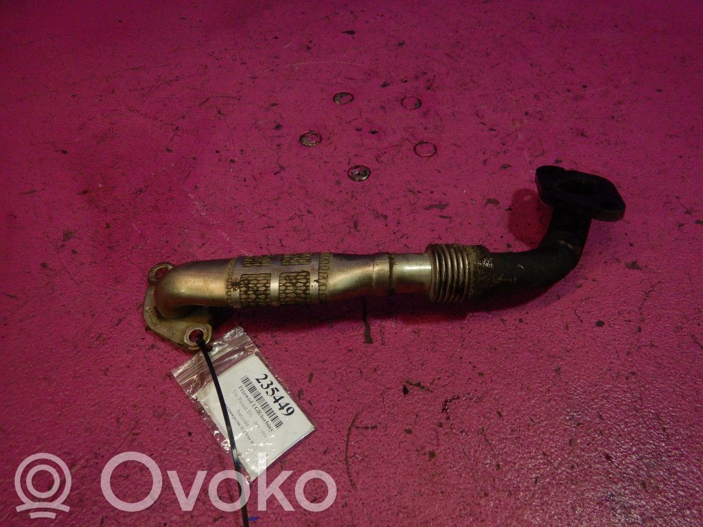 Volkswagen PASSAT B5.5 Conductă/furtun supapă EGR 