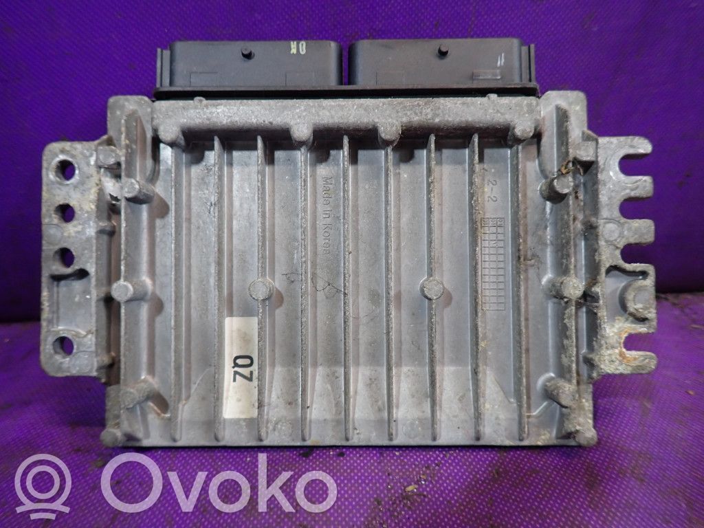 Motorsteuergerät ECU