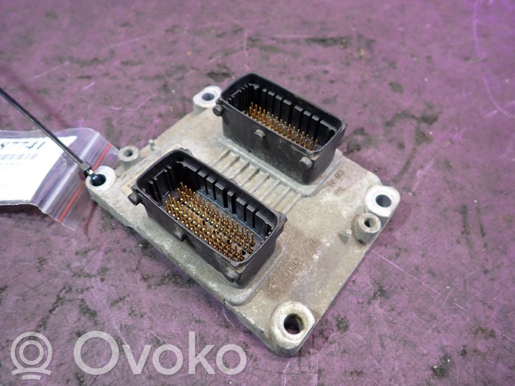 Engine control unit/module ECU