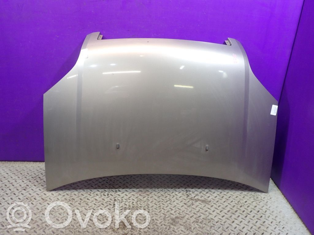 Motorhaube