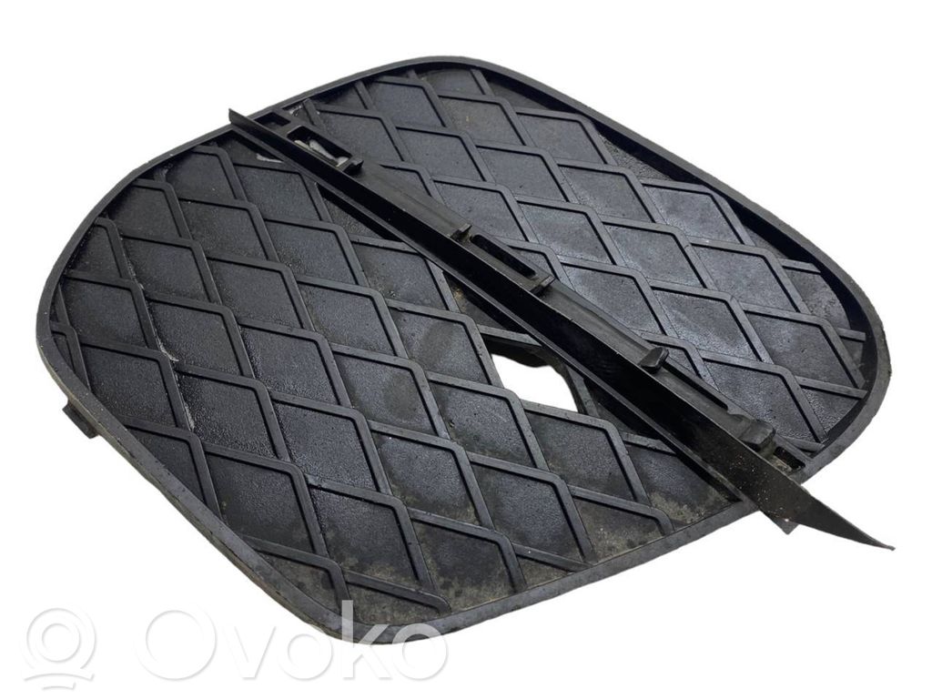 BMW X5 E70 Front bumper lower grill 