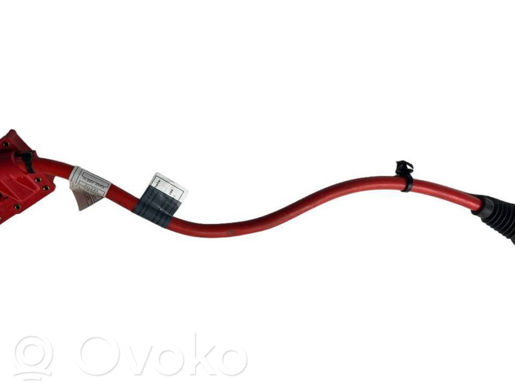 BMW 5 F10 F11 Pliusinis laidas (akumuliatoriaus) 