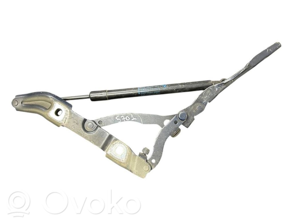 Tailgate/trunk/boot hinge   7060628,7250308,51247250308