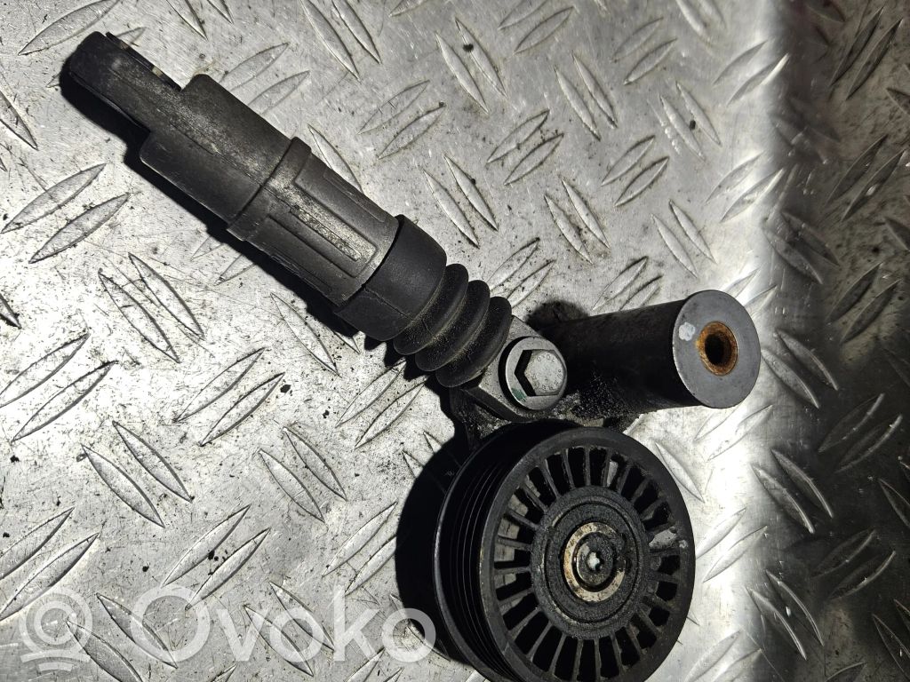 Volkswagen PASSAT B5.5 Napinacz paska alternatora 