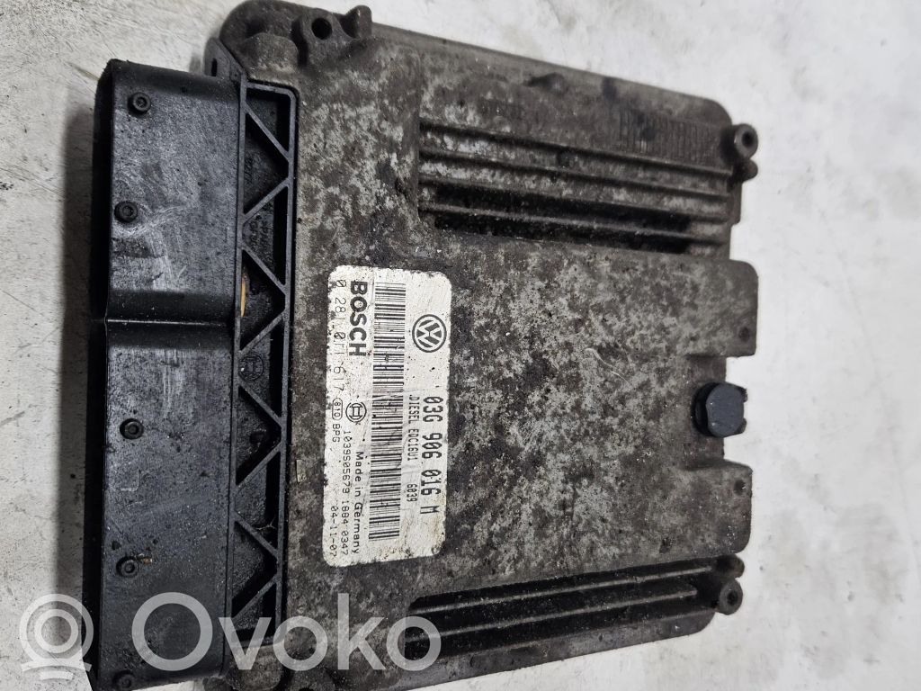 Volkswagen Golf V Engine control unit/module 