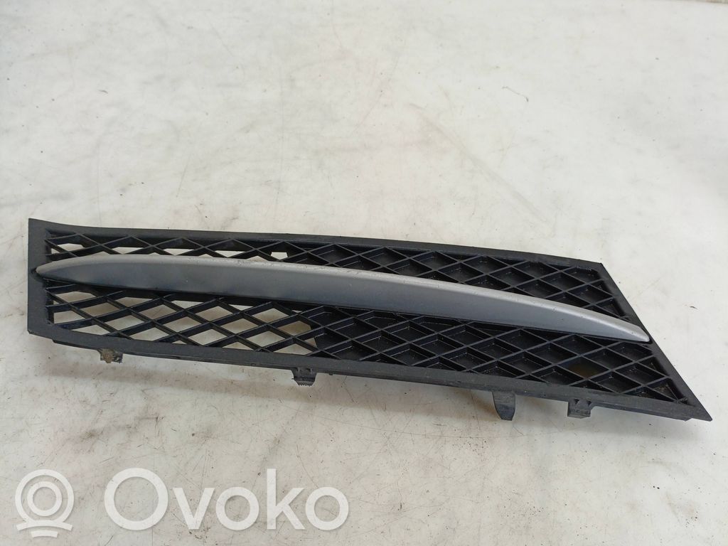 BMW 5 F10 F11 Front bumper lower grill 