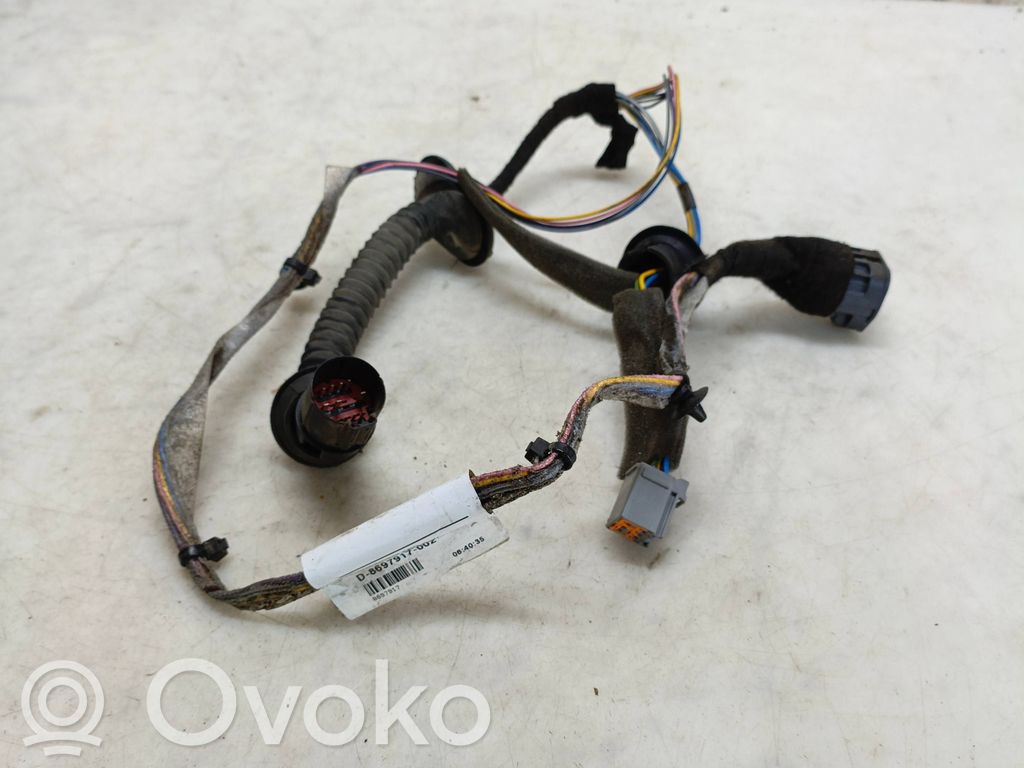 Cableado de puerta trasera   8697917,D8697917002