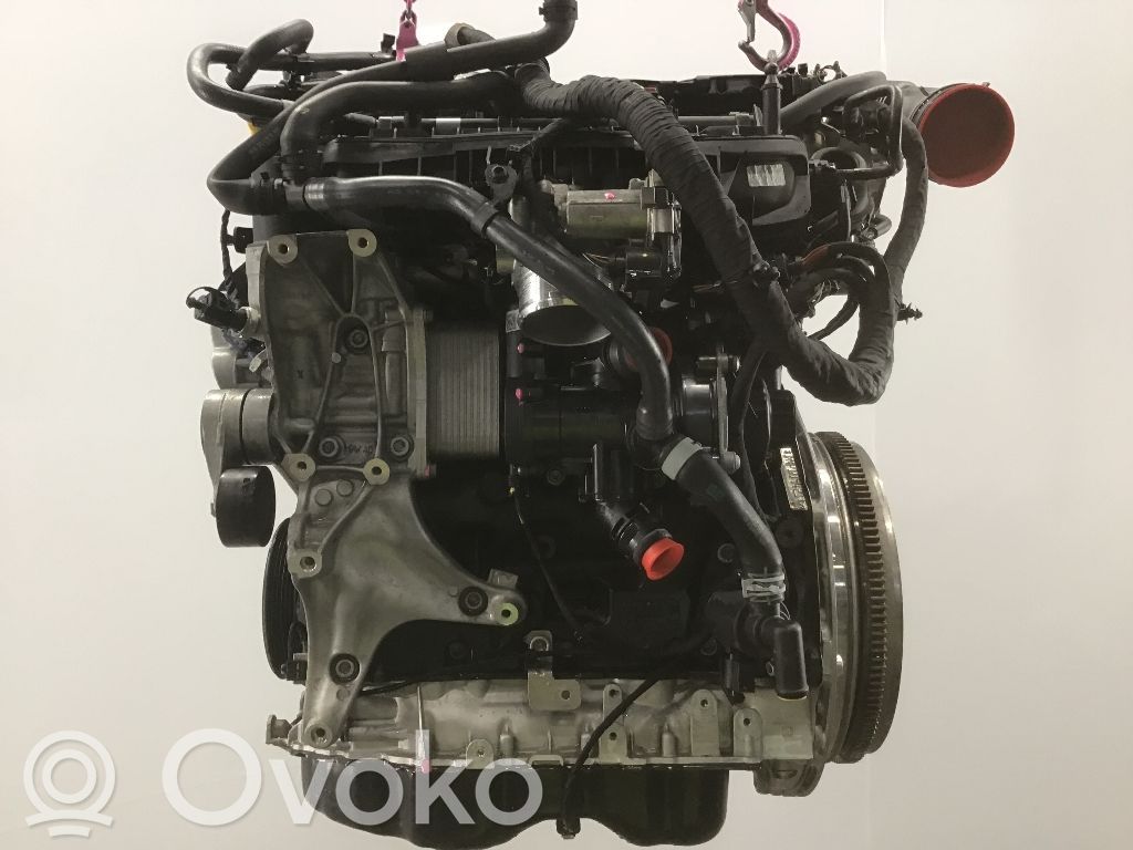 Volkswagen Golf VIII Variklis 