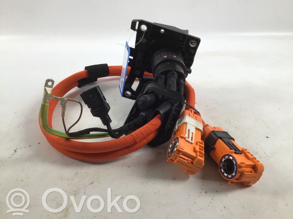 Audi e-tron Electric car charging cable 