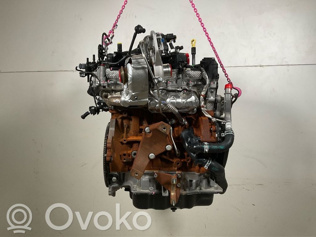 Ford Transit Motore 