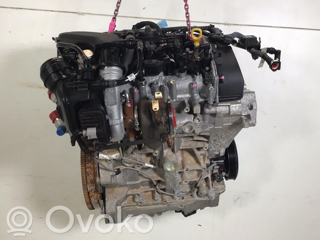 Volkswagen Golf VIII Motore 