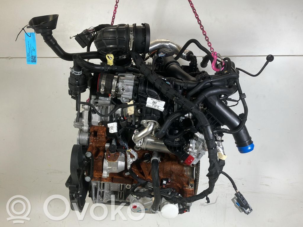Motor   2365401