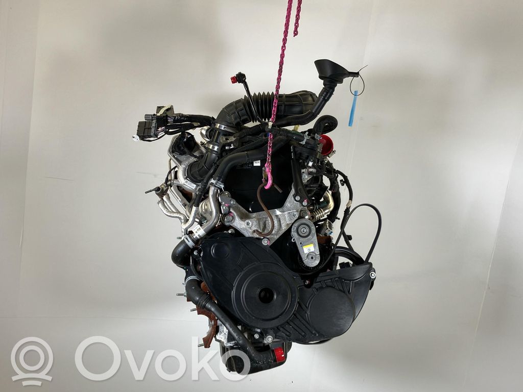 Motor   2365401