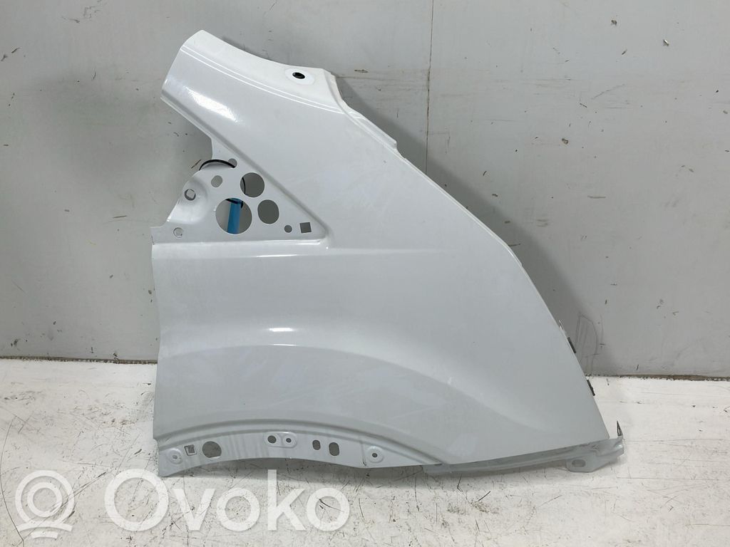 Parafango   2238165