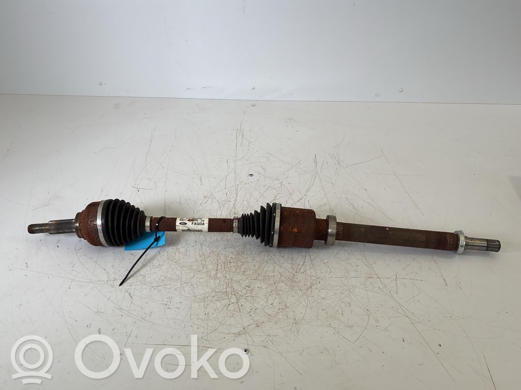 Semiasse anteriore   2821651