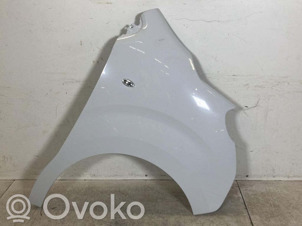 Fiat Scudo Parafango 
