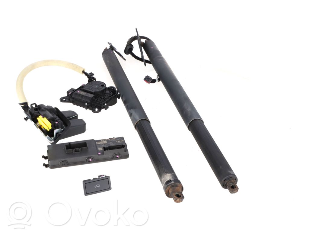 Volkswagen Tiguan Pompa / Siłownik klapy tylnej bagażnika / Komplet 