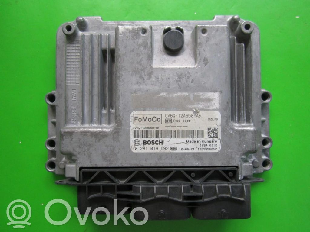 Ford Focus Engine control unit/module ECU 