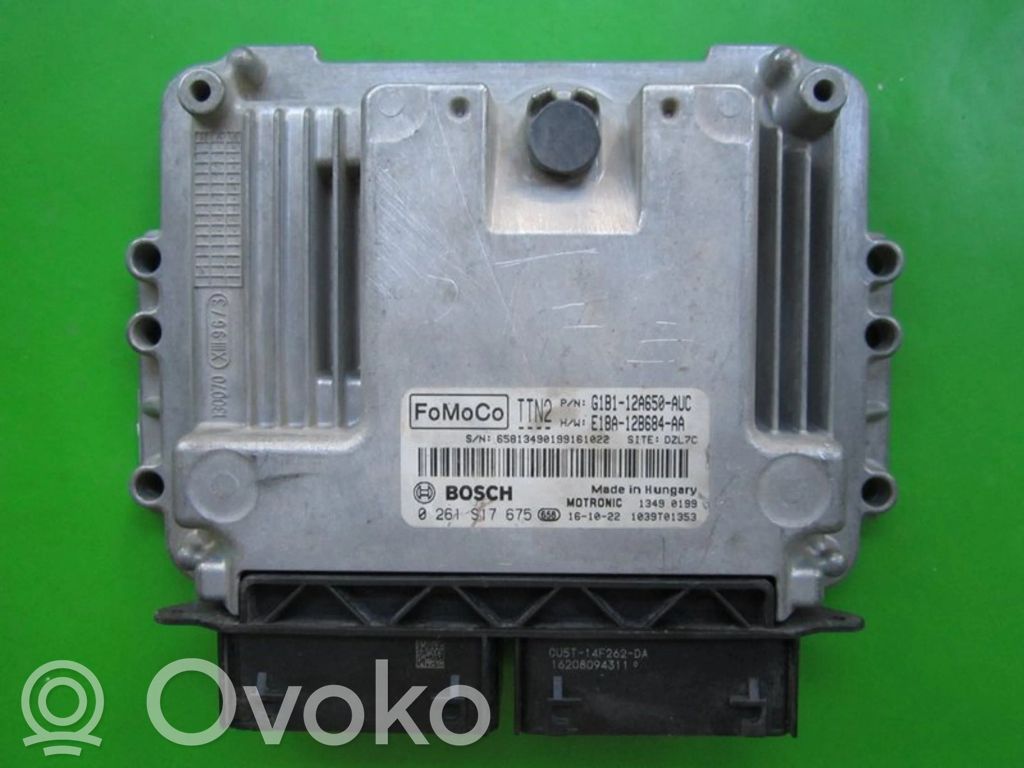 Engine control unit/module ECU   G1B112A650AUC,0261S17675