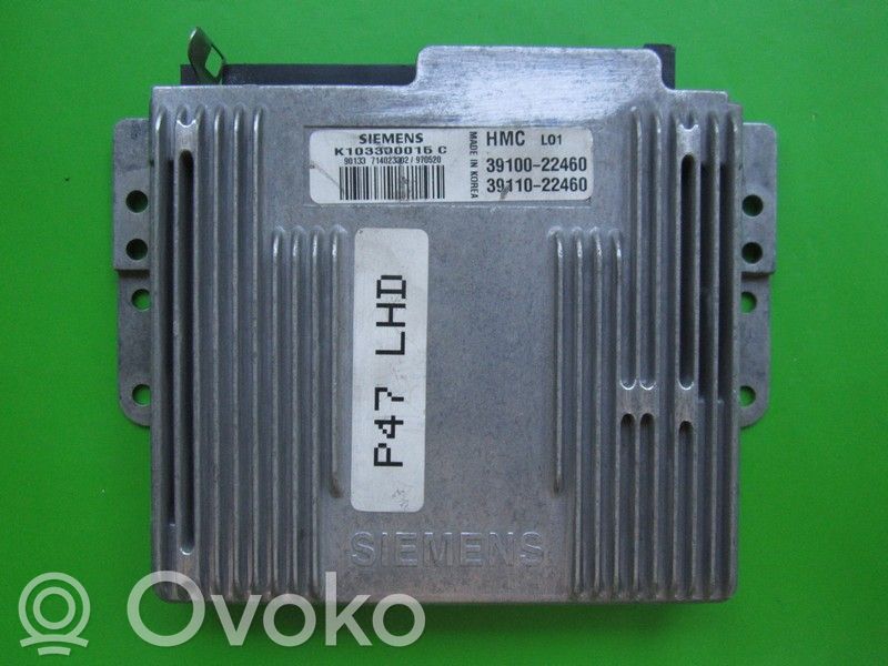 Engine control unit/module ECU   3910022460,K103300015C