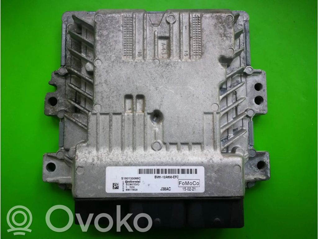 Ford Focus Galios (ECU) modulis 