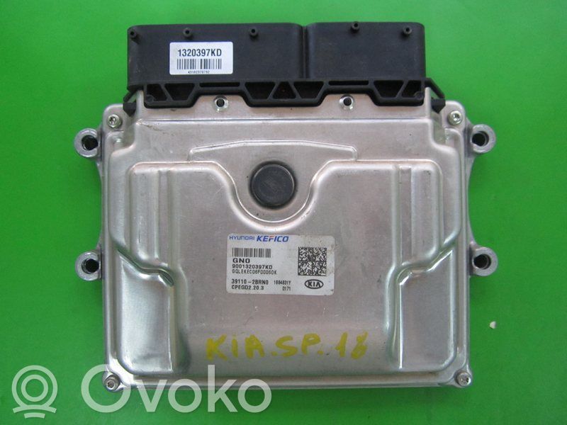 Engine control unit/module ECU   391102BRN0,9001320397KD