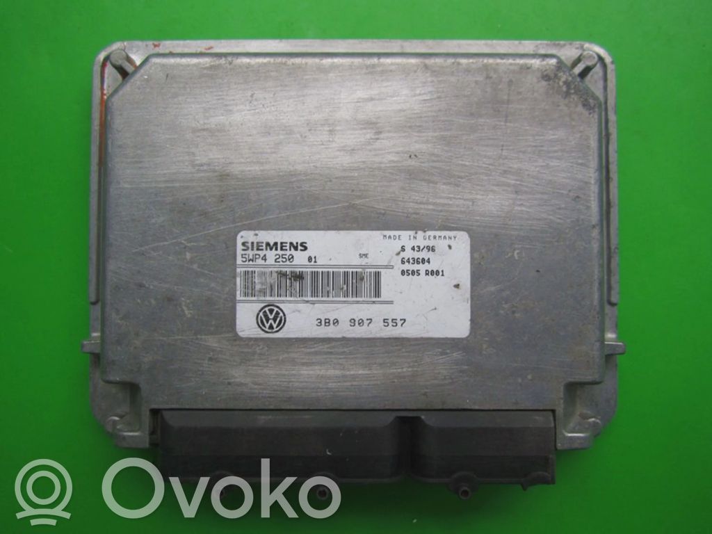 Engine control unit/module ECU   3B0907557,5WP4250