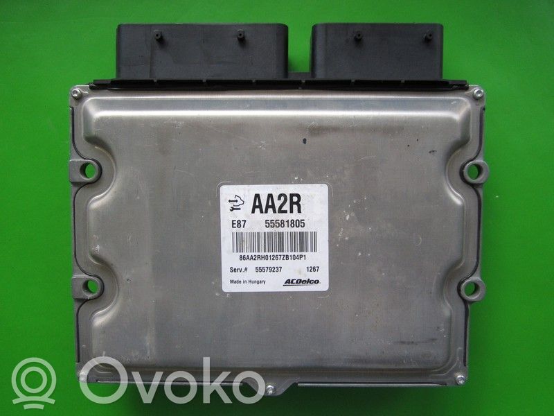 Opel Meriva B Engine control unit/module ECU 