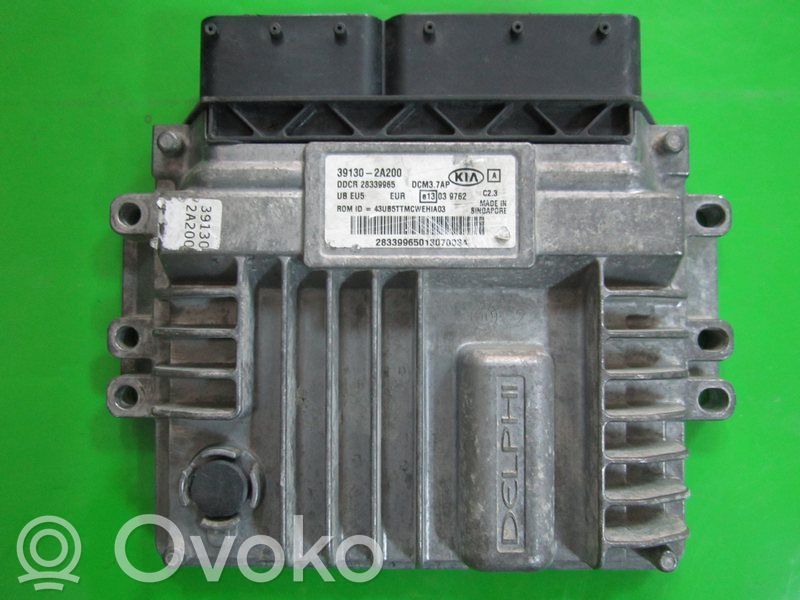 Engine control unit/module ECU   391302A200,28339965