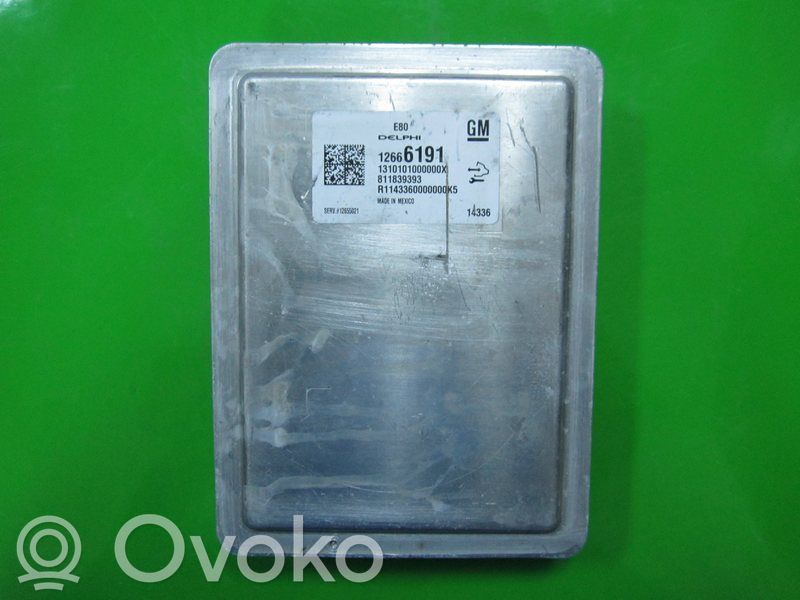 Unité de commande, module ECU de moteur   12666191,12655021