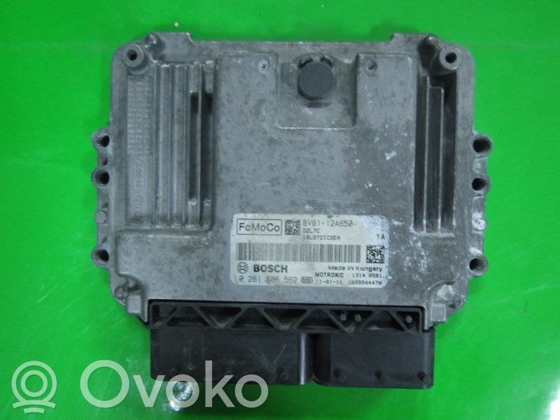 Ford Focus Galios (ECU) modulis 