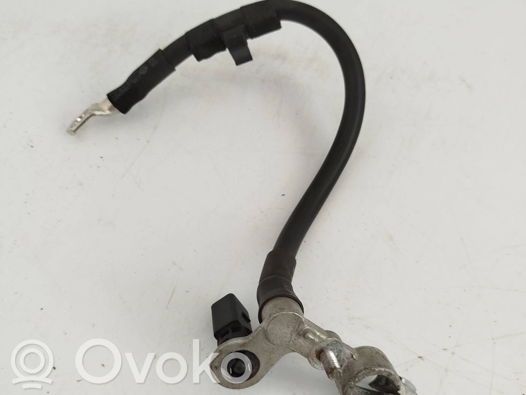 Volkswagen Phaeton Negative earth cable (battery) 