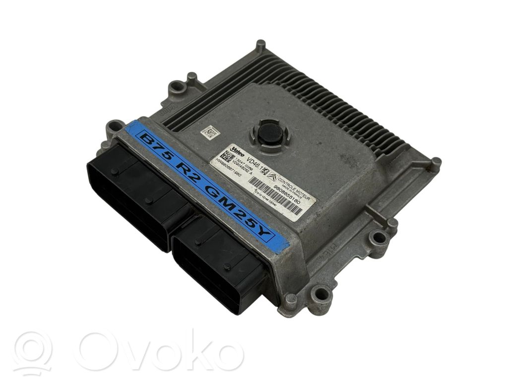 Sterownik / Moduł ECU   9806671980,9808855180,132470069,98066718