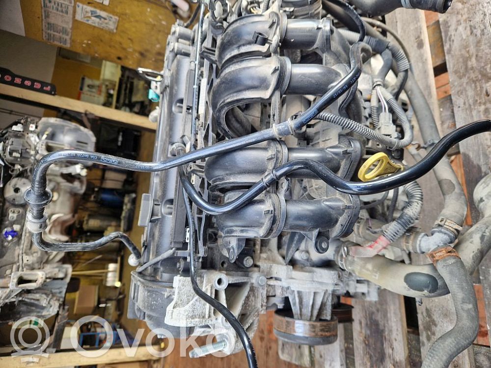 Ford Fiesta Motor 